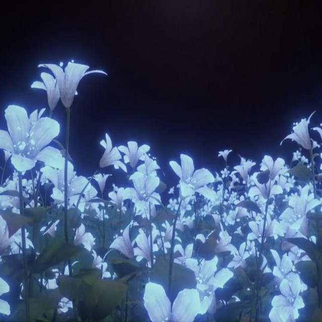 flower cover art