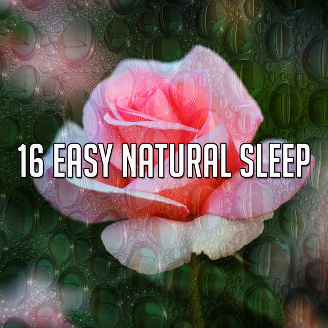 16 Easy Natural Sleep - Album by Sounds of Nature Noise | Spotify