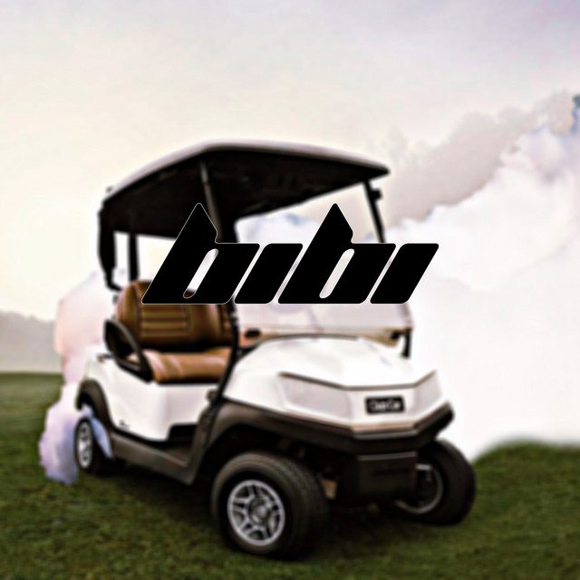Bibi cover art