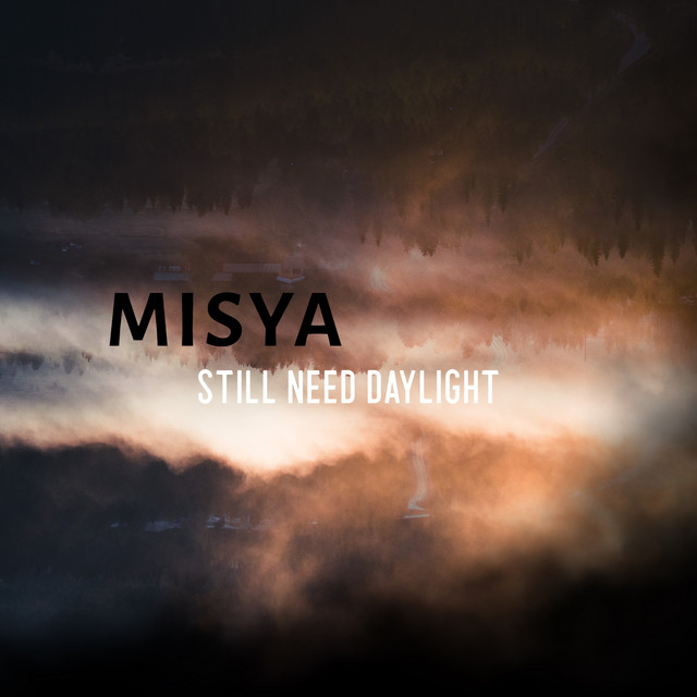 Still Need Daylight cover art