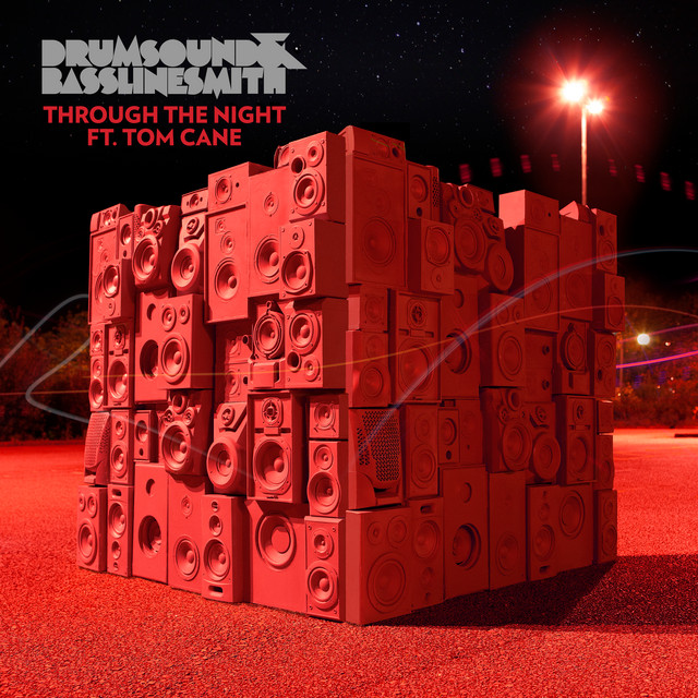 Through The Night (Drum & Bass Mixes) cover