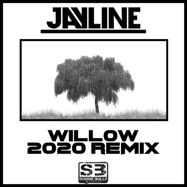 Willow - 2020 Remix