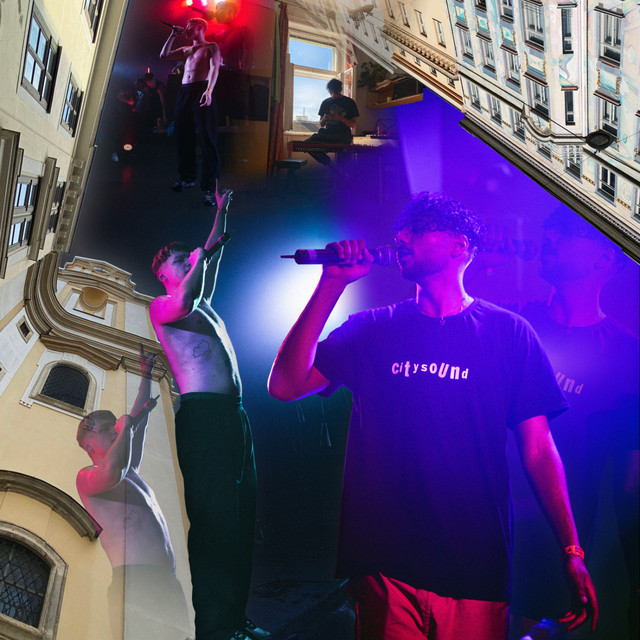 WILL ICH/WERD ICH cover