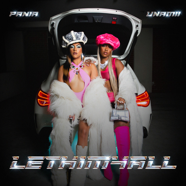 LETHIM4ALL (feat. Unamii) by Pania