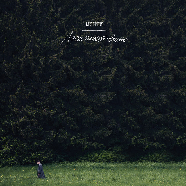 Леса поют вечно cover art