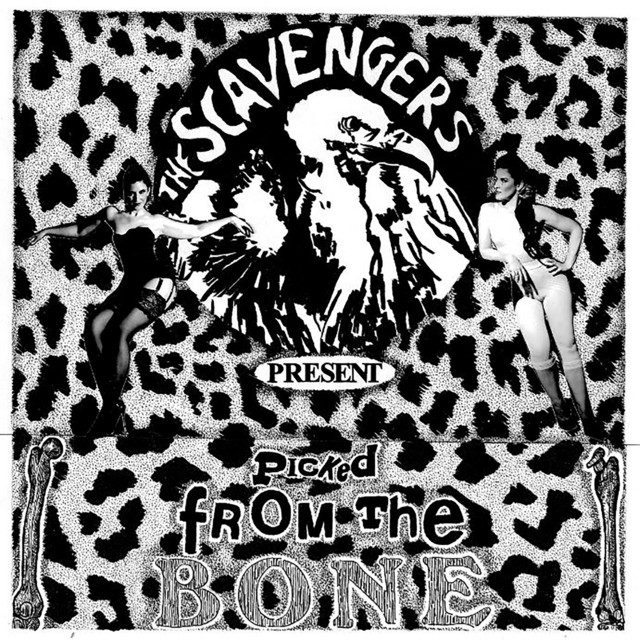 Picked from the Bone cover