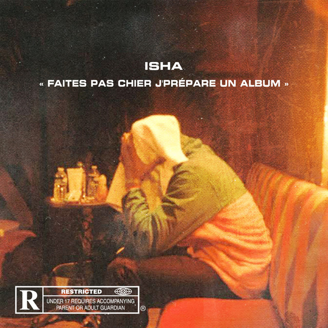 FAITES PAS CHIER J'PREPARE UN ALBUM cover art