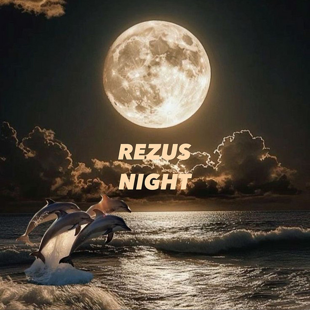 Обкладинка: NIGHT — REZUS