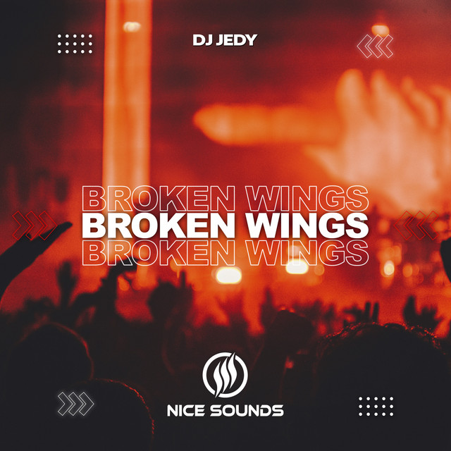 Обкладинка: Broken Wings — DJ JEDY