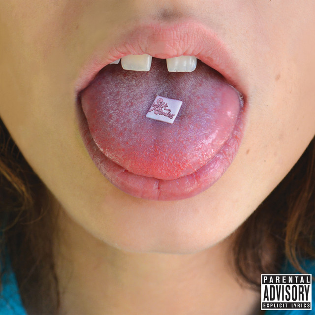 Silk Rhodes cover art