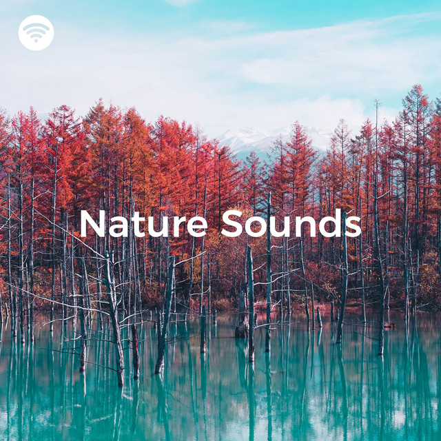 Nature Sounds: Harmony in the Forest cover art