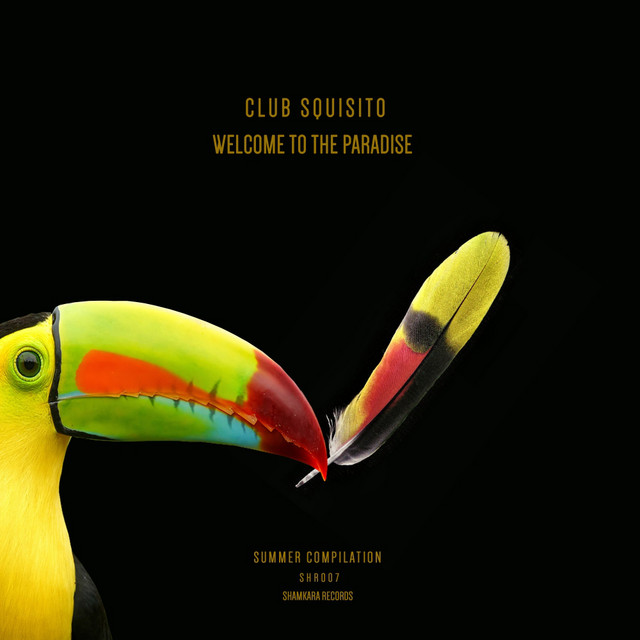 Club Squisito Photo