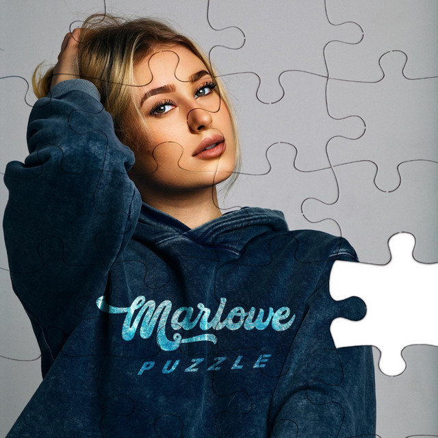 Puzzle cover art