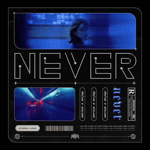 NEVER cover art