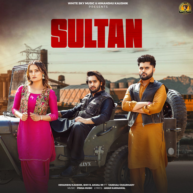 Sultan (feat. Vaishali Chaudhary)
