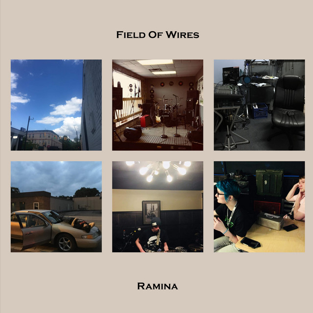 Field of Wires cover art