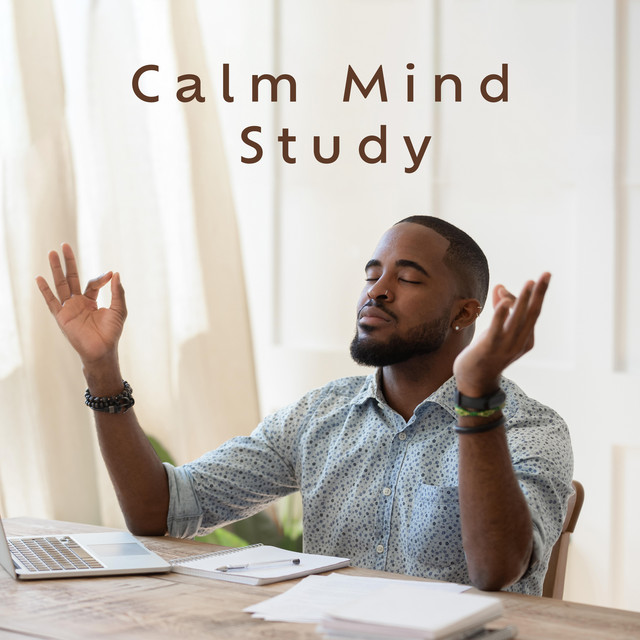 Calm Mind Study: Pure Rain Sounds for Study Session - Album by Self ...