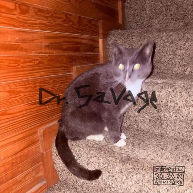 Dr. Savage cover art