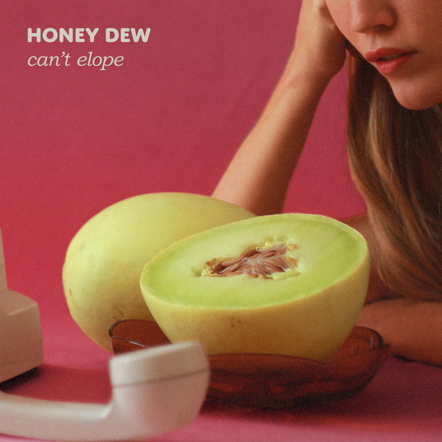Can't Elope cover art