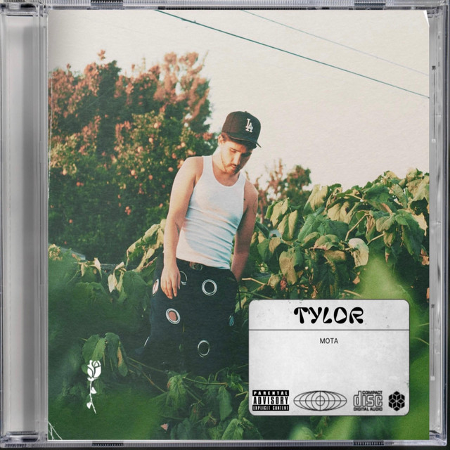 MOTA cover art