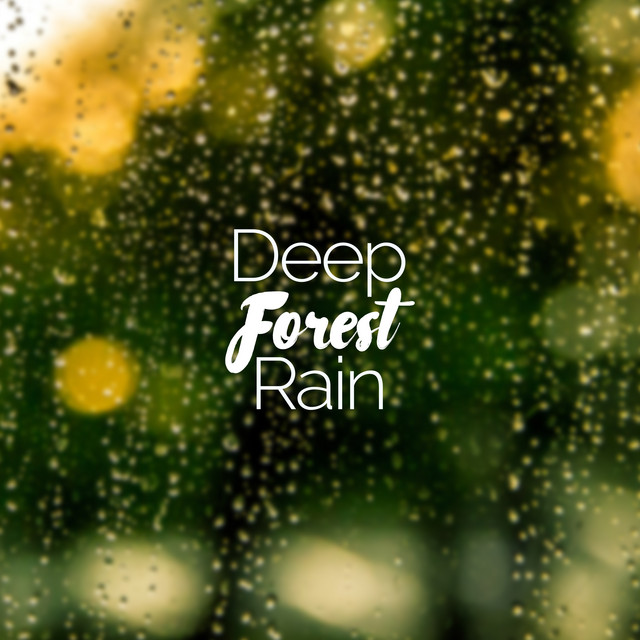 Deep Forest Rain cover art