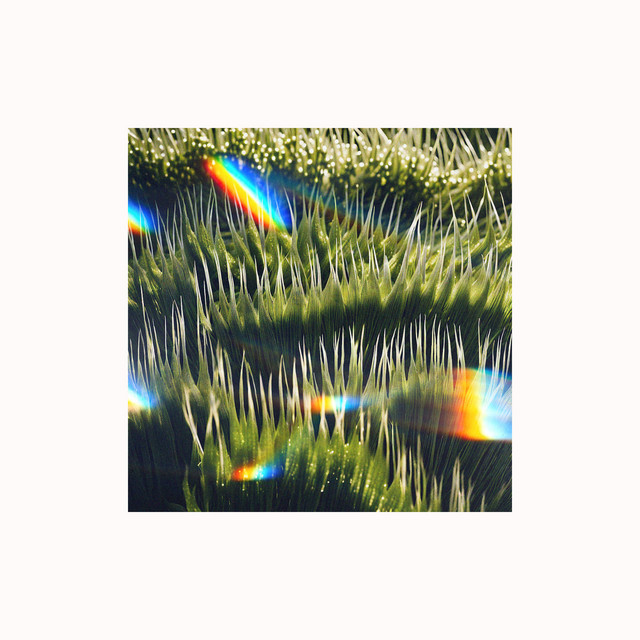 Jardines cover art