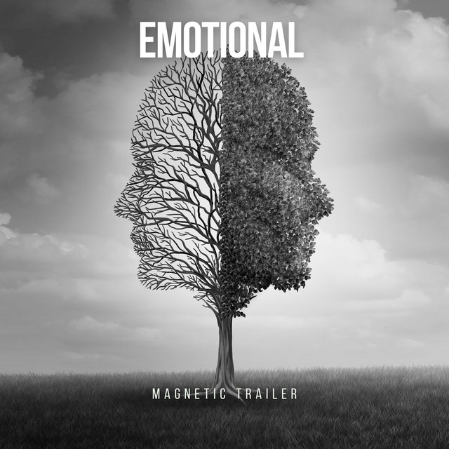 Обкладинка: Emotional Disappointed — Lesfm