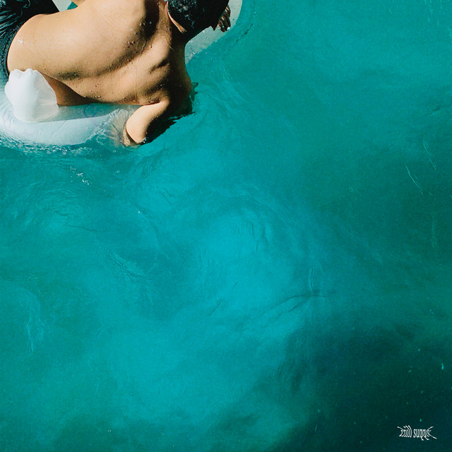 Lo to the Fi cover art