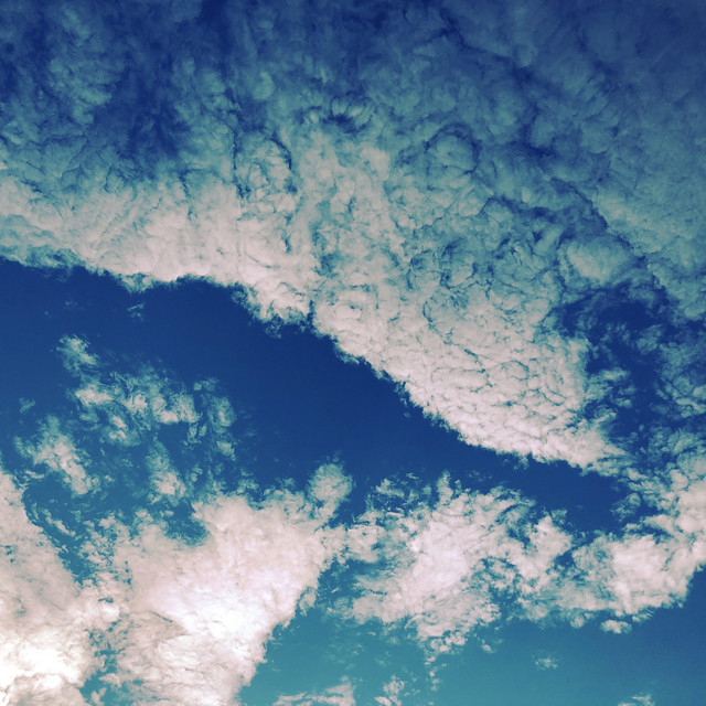 Three Birds Flying Away