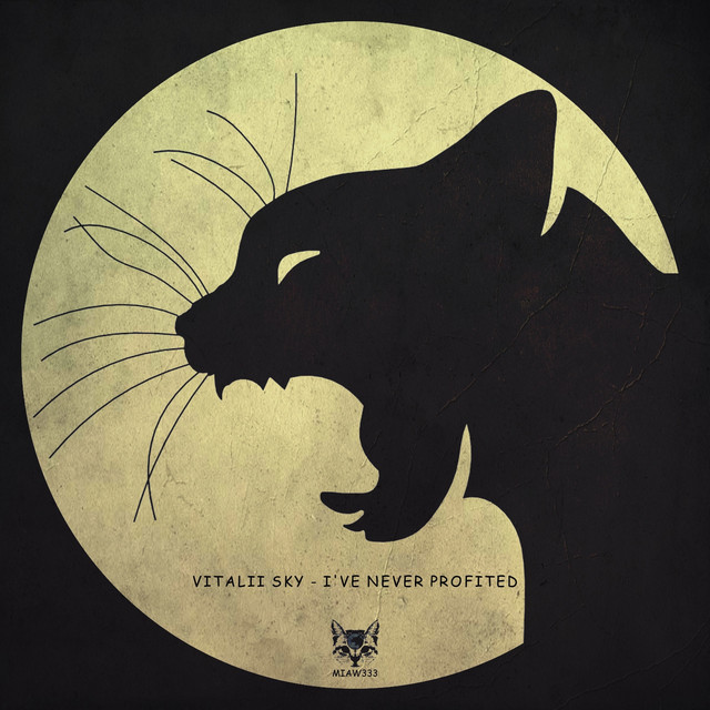 Cover art for Vitalii Sky — I've Never Profited