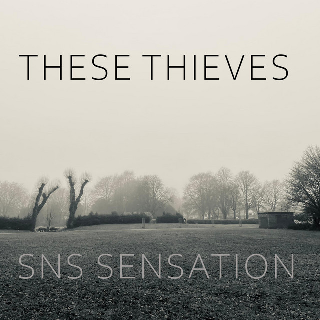 These Thieves cover