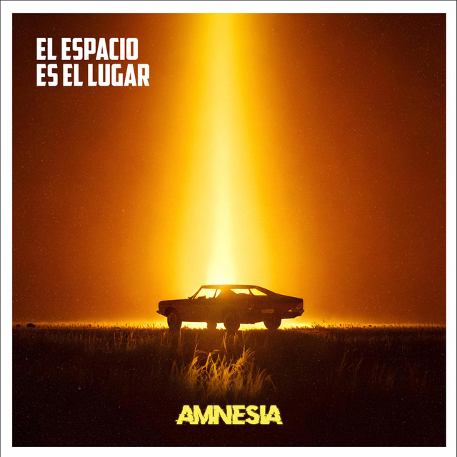 Amnesia cover art