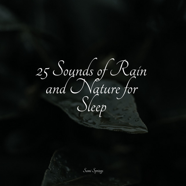 25 Sounds of Rain and Nature for Sleep - Album by Yoga Namaste | Spotify