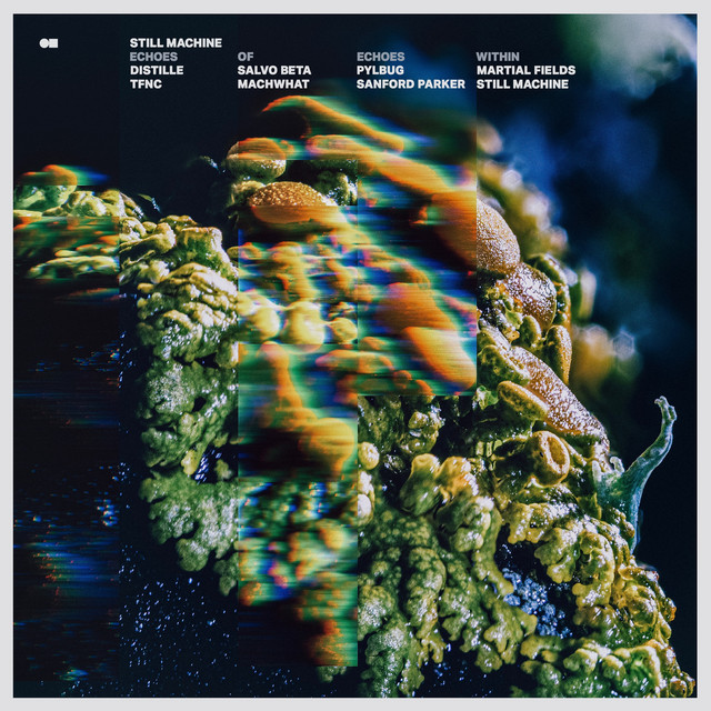 Echoes of Echoes Within cover art