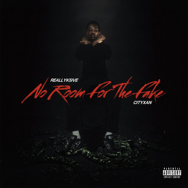 No Room For The Fake cover art