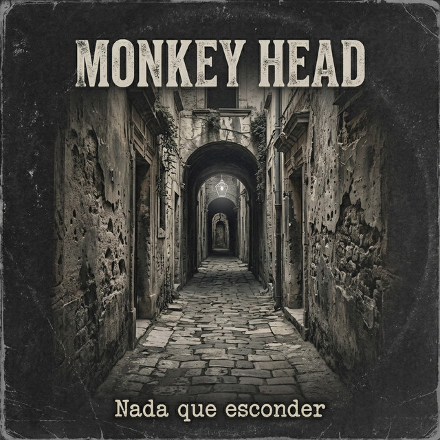 Nada que esconder cover
