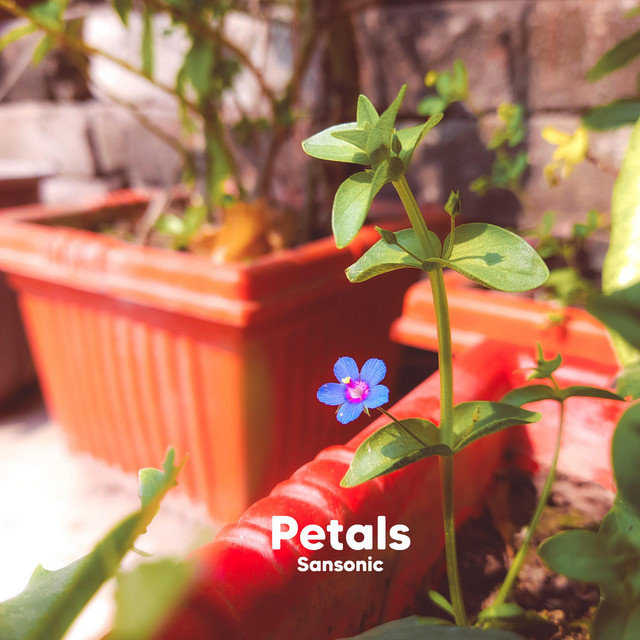 Petals cover art