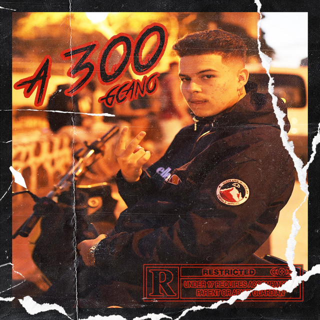 A 300 cover art