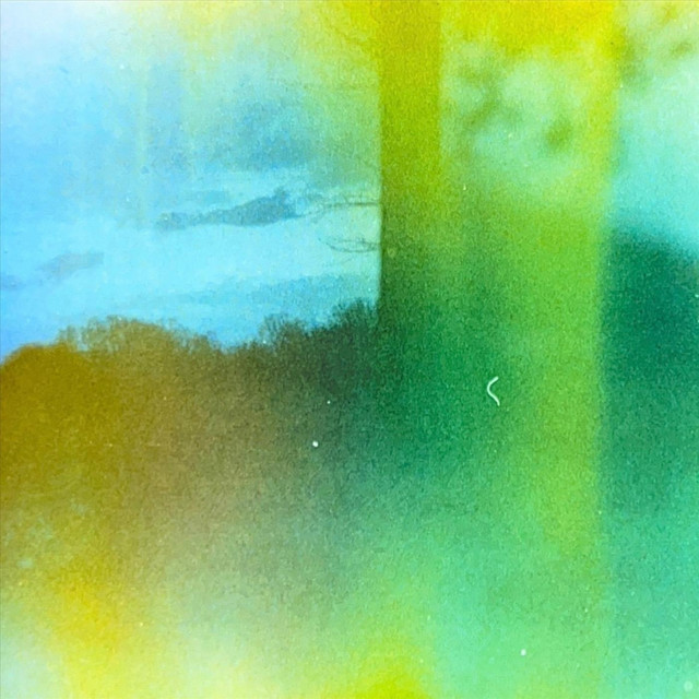 Flower cover art