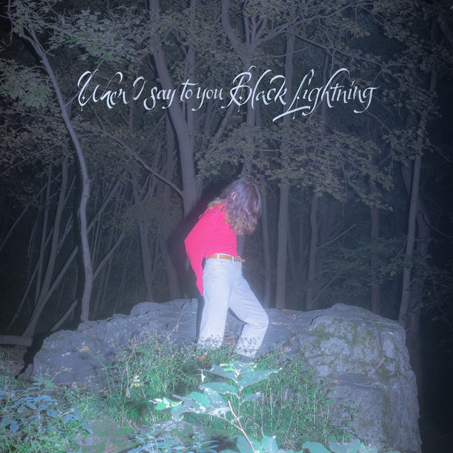 When I say to you Black Lightning cover art