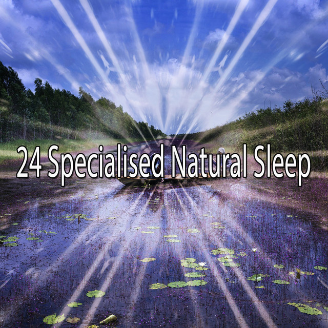 24 Specialised Natural Sleep - Album by Sleep Sounds of Nature | Spotify