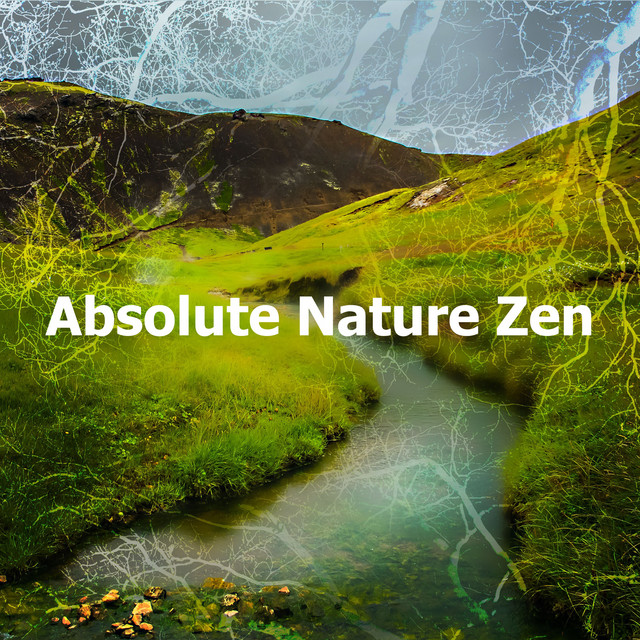 Absolute Nature Zen - Album by The Outdoor Library | Spotify