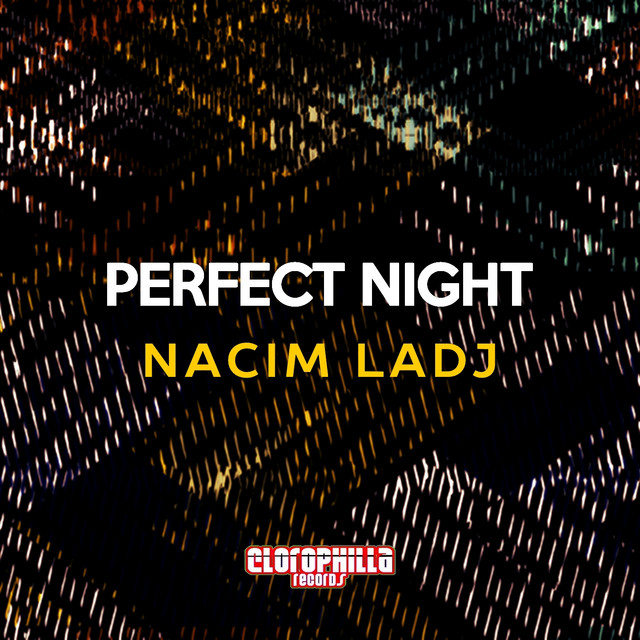Perfect Night cover art