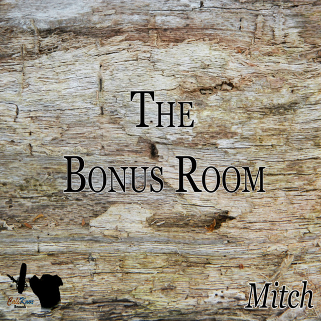 The Bonus Room cover art