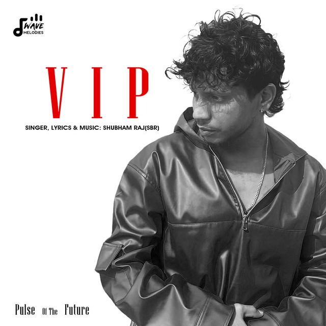 VIP - Pulse of the Future - Single by Shubham Raj (SBR) | Spotify