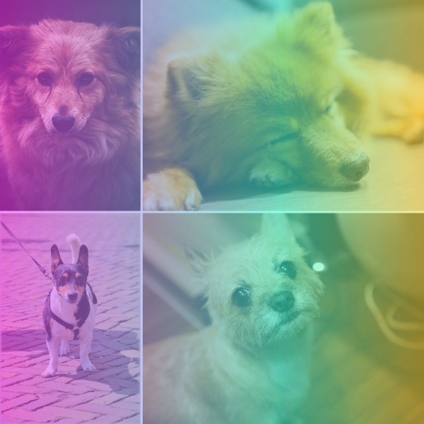 Music for Treating Dox Anxiety cover art
