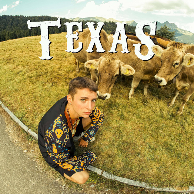 TEXAS cover art