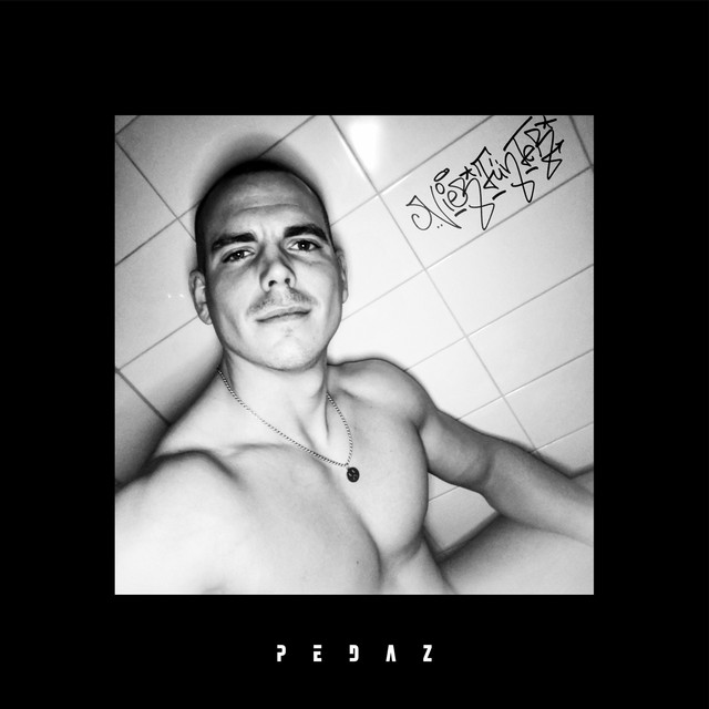 Vierfünfer cover