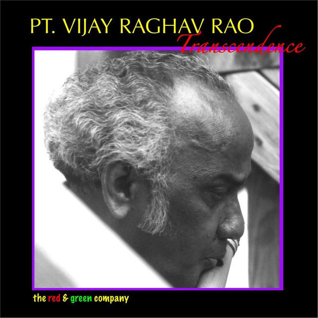 Rageshwari - song and lyrics by Pt. Vijay Raghav Rao | Spotify