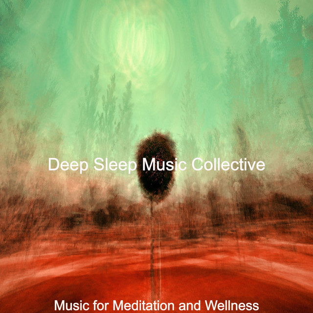 Music for Meditation and Wellness - Album by Deep Sleep Music ...
